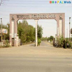 Barkatullah University Bhopal