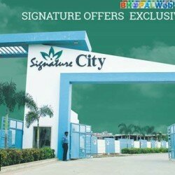 Signature City Exclusive